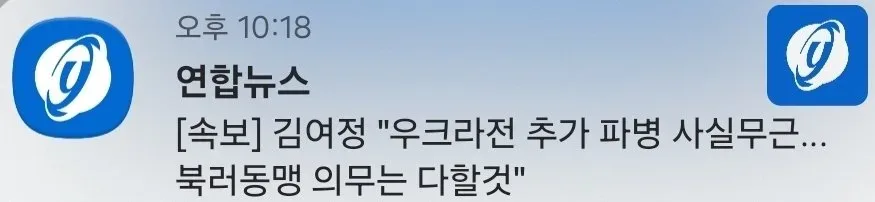 [속보] 김여정 "우크라전 추가 파병 사실무근…북러동맹 의무는 다할 것"