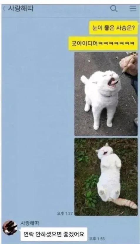 소개팅녀와의 카톡.jpg