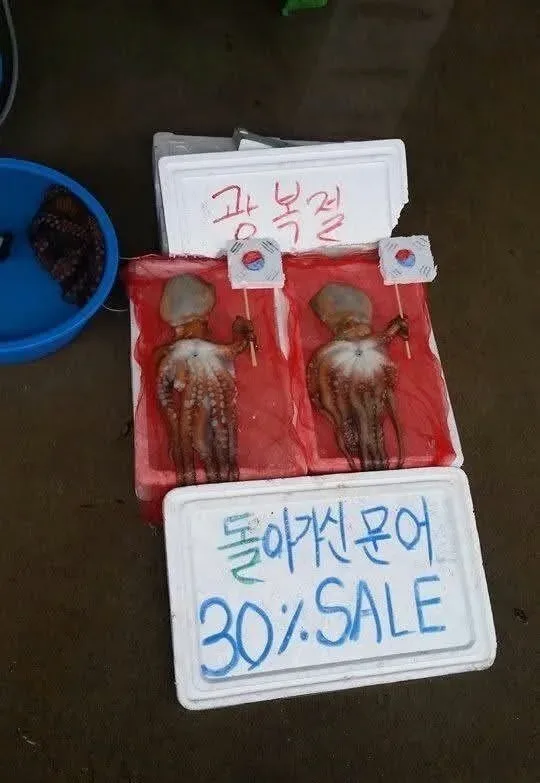 돌아가신 문어 30% 할인