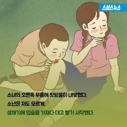 황순원의 소설 '소나기'에서 소녀가 일찍 요절했던 이유