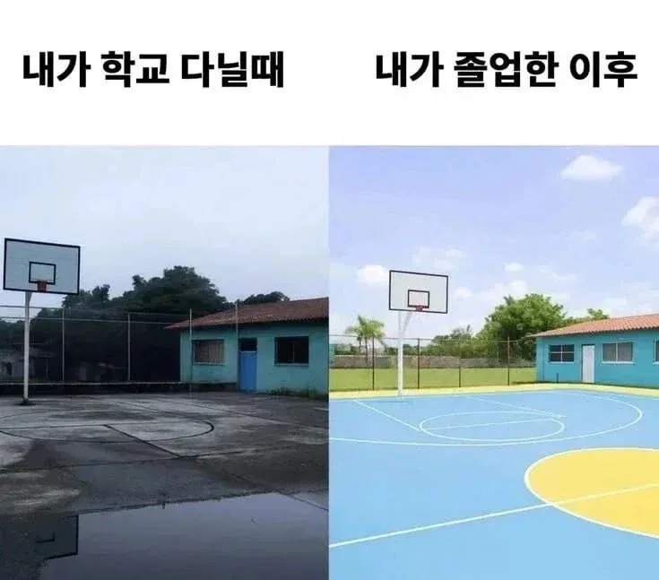 학교 졸업하면 국룰