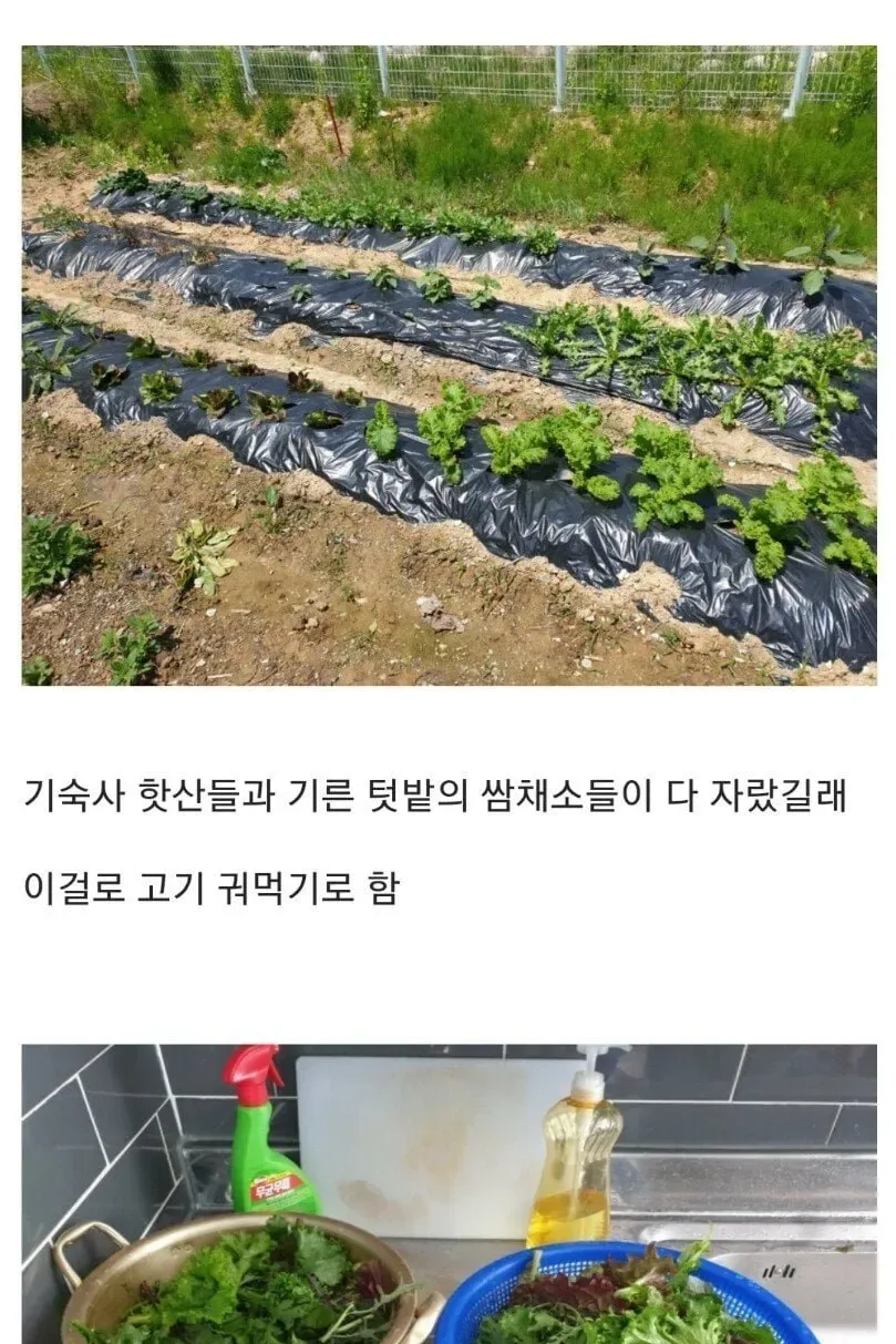 흔한 어느 ㅈ소기업의 회식.jpg