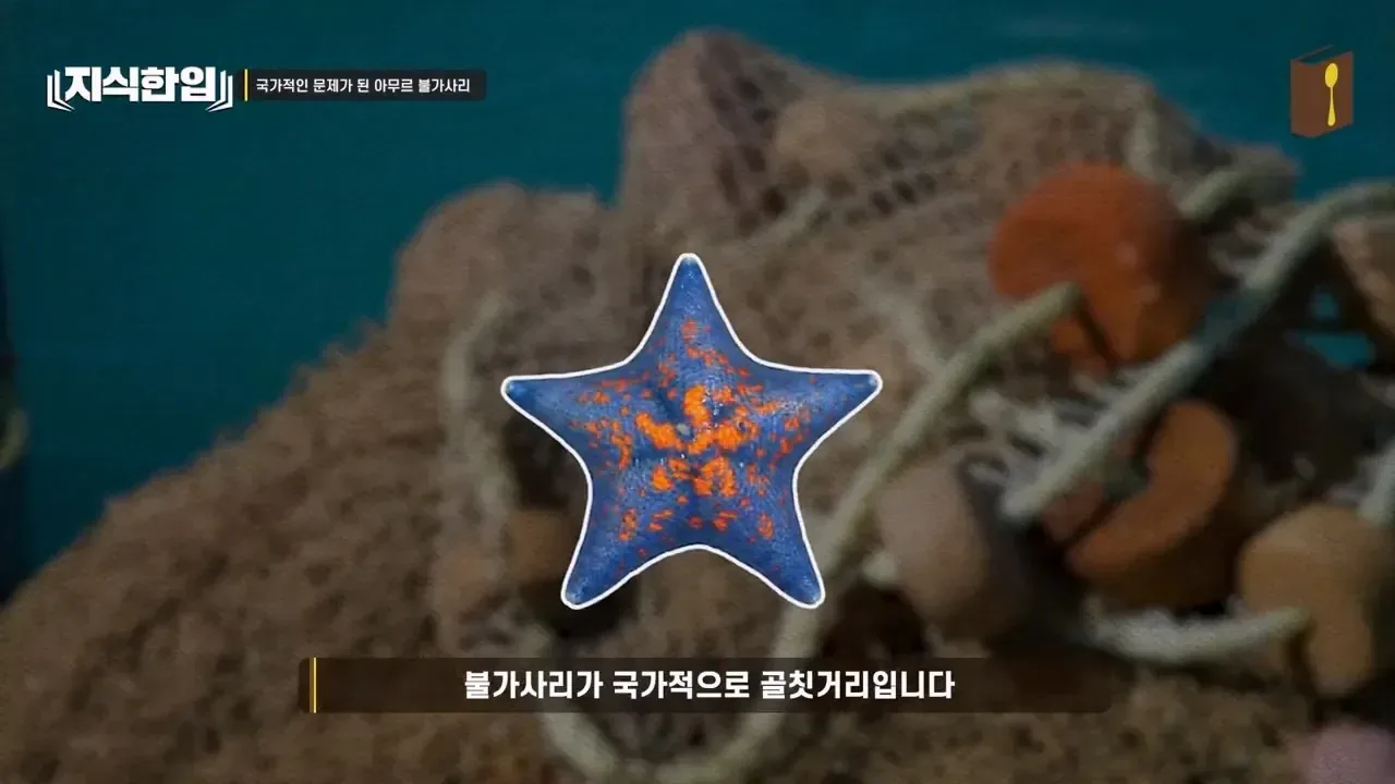 최태원이 미쳐있는 프로젝트.jpg