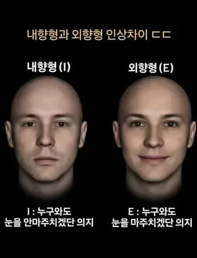 내향인 외향인 인상차이
