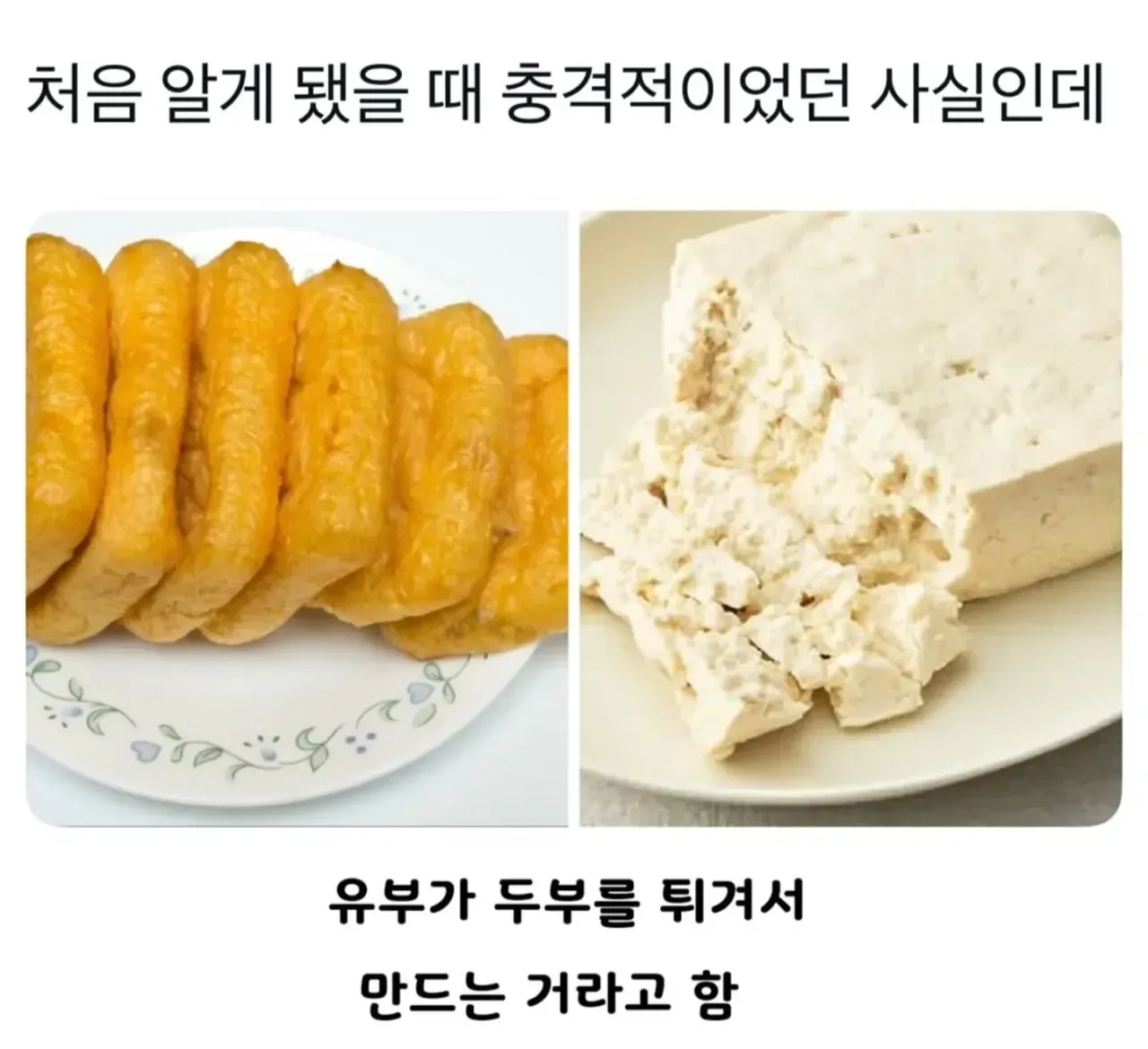 처음알게됐을때 충격적이였던 사실인데