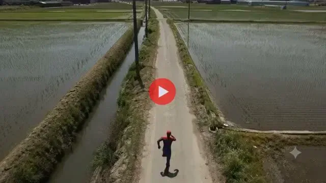 스파이더맨 활동지가 뉴욕인 이유