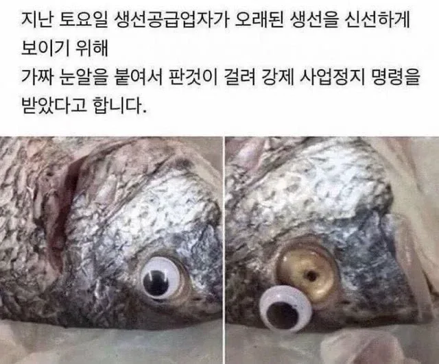 생선공급업자가 갑자기 사업정지 명령을 받은 이유