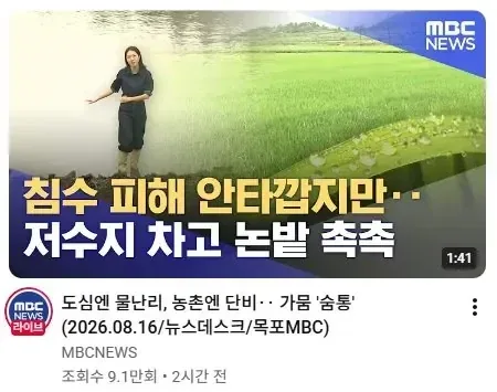 <MBC> 침수 피해 안타깝지만 저수지 차고 논밭 촉촉