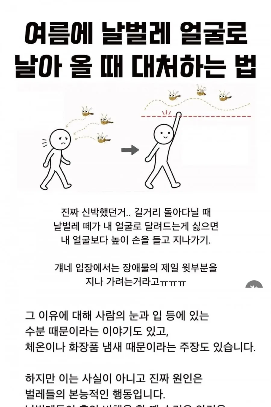 얼굴에 날벌레 안날라오게 하는방법