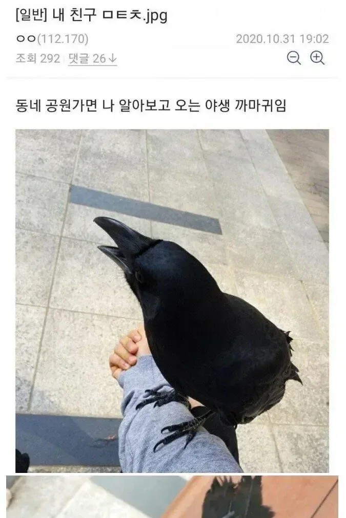 공원에서 친구 사귄 디씨인.jpg