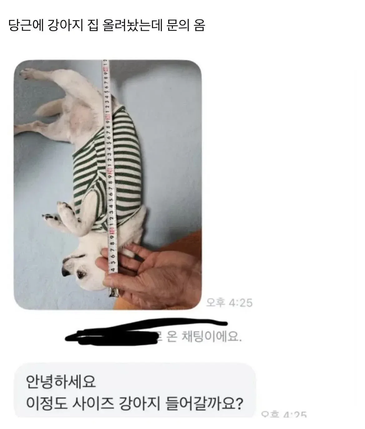 당근에 강아지 집 올려놨는데 문의 옴