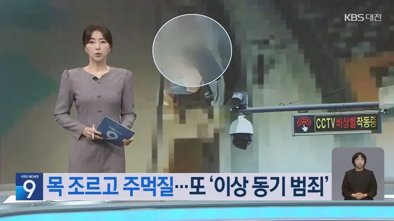 처음본사람 뒤로다가가 목 조르고 도주한 20대