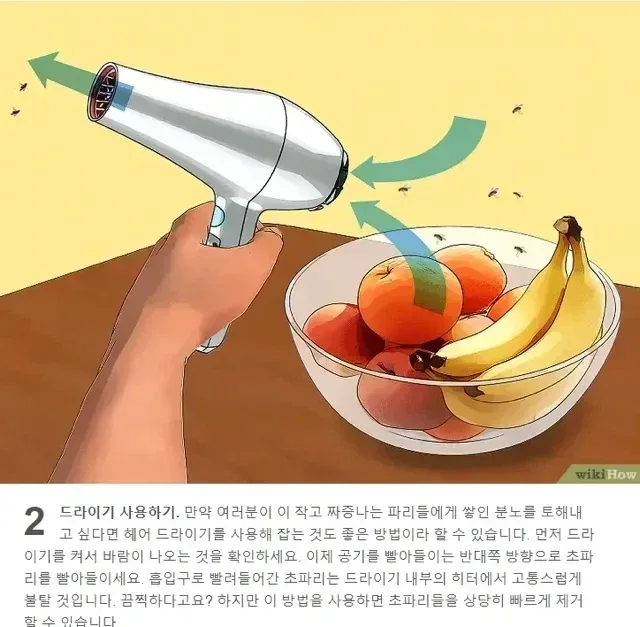 광기의 초파리 잡기.jpg