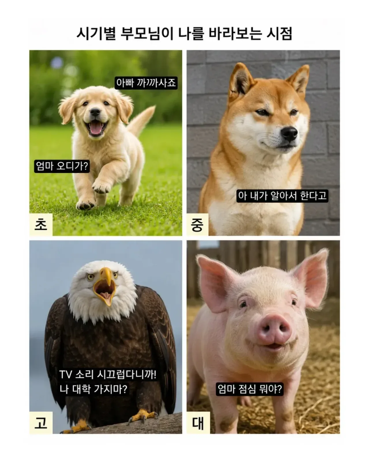 이거 맞음??????