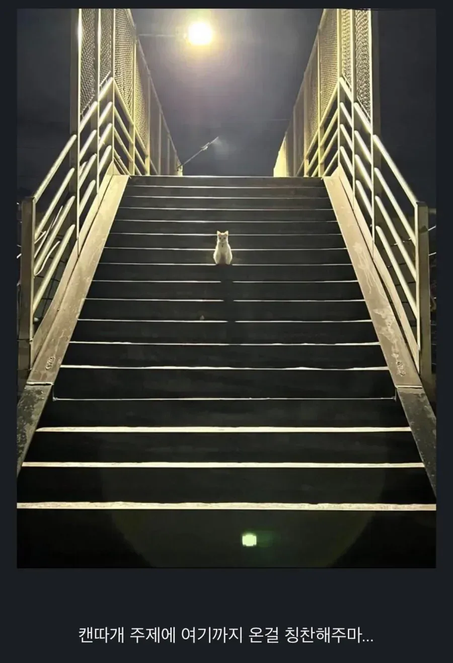 칭찬해주지 여기까지 온걸.jpg