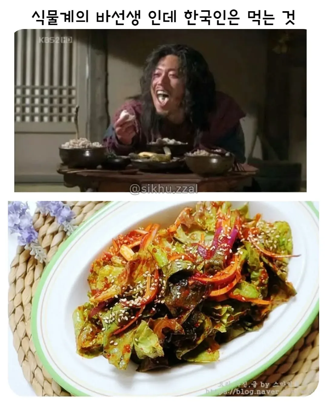 유럽 : 이걸 어떻게 없애지? 한국 : 이걸 어떻게 먹지?   (feat. 가시상추)