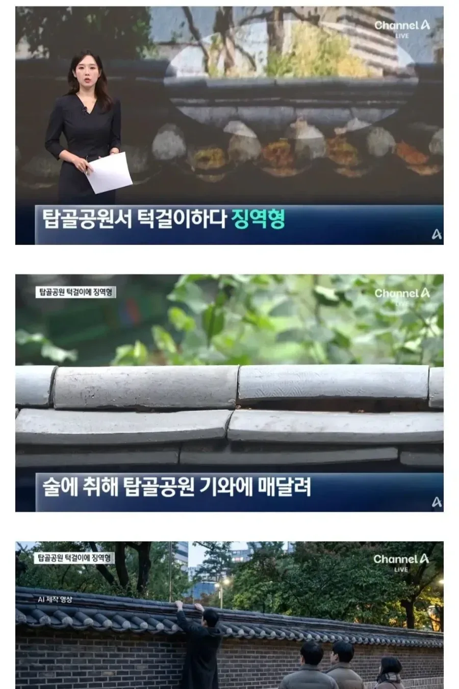 턱걸이 하다가 전과자 된 남자.jpg