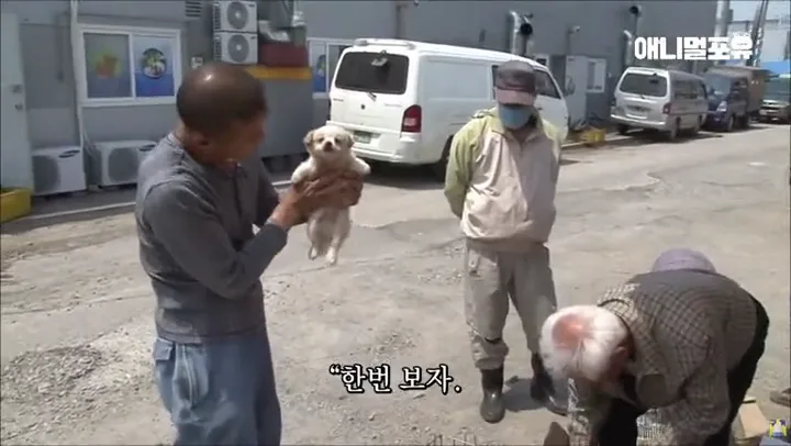 시골 장터에서 만원 주고 산 시고르자브종