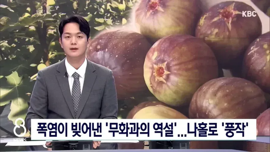 폭염 + 가뭄으로 수혜를 본 과?실