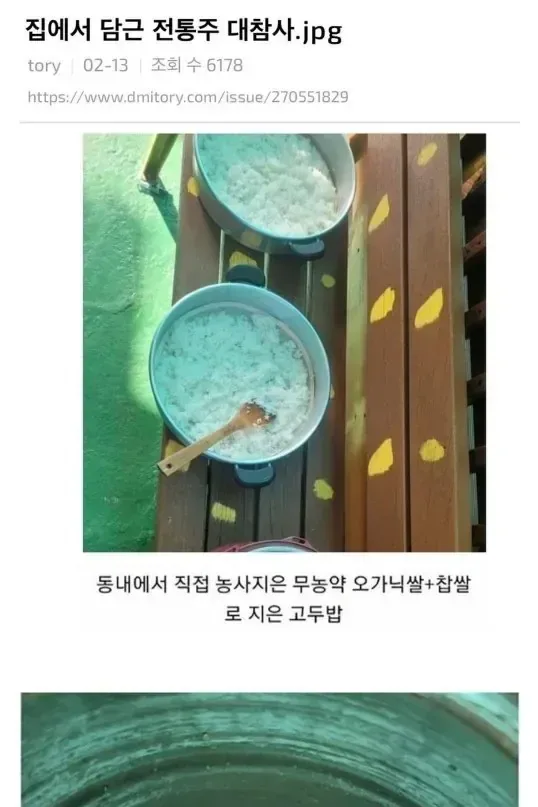 집에서 담근 전통주 대참사.jpg
