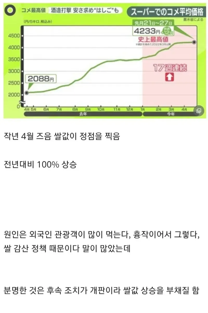 쌀값 폭등 문제가 해결된 일본 근황.jpg