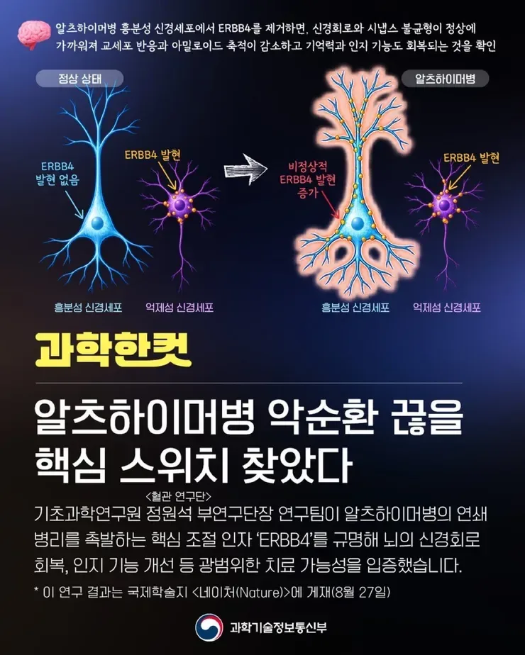<알츠하이머병 악순환 끊을 핵심 스위치 찾았다>