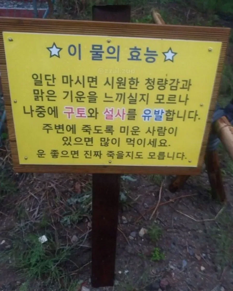이 물의 효능.jpg