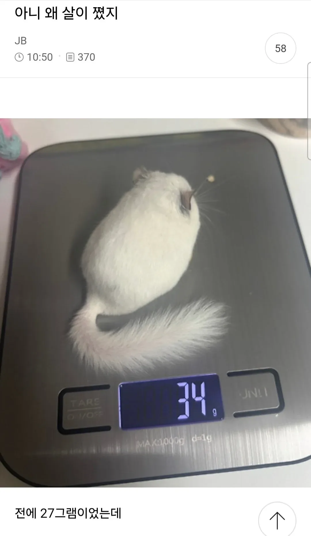 아니 왜 살이 쪘지