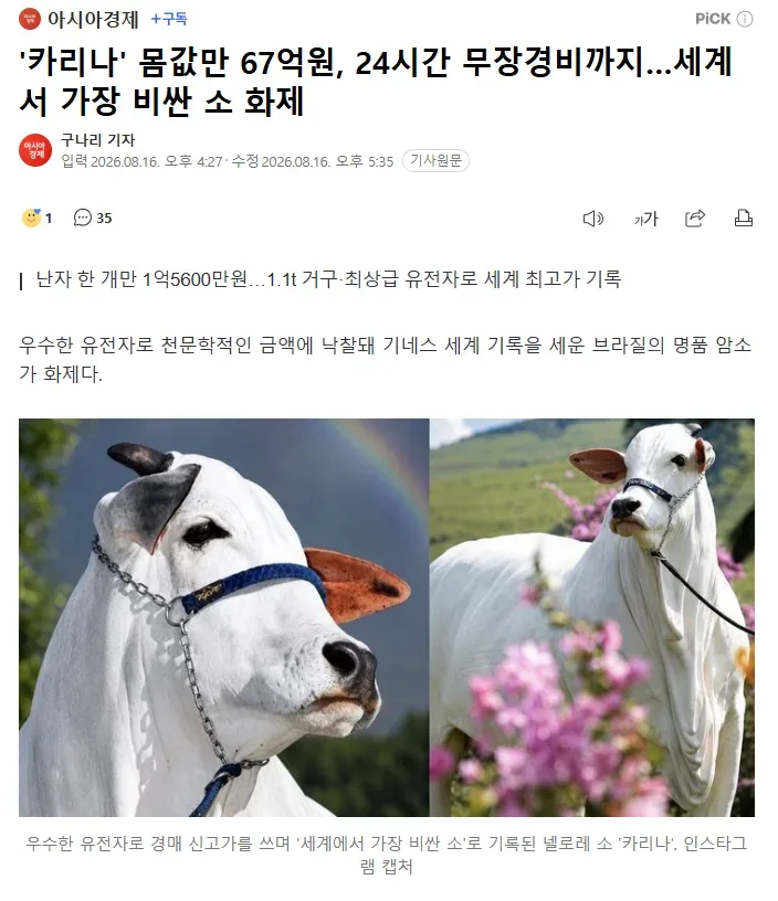 '카리나' 몸값만 67억원, 24시간 무장경비까지