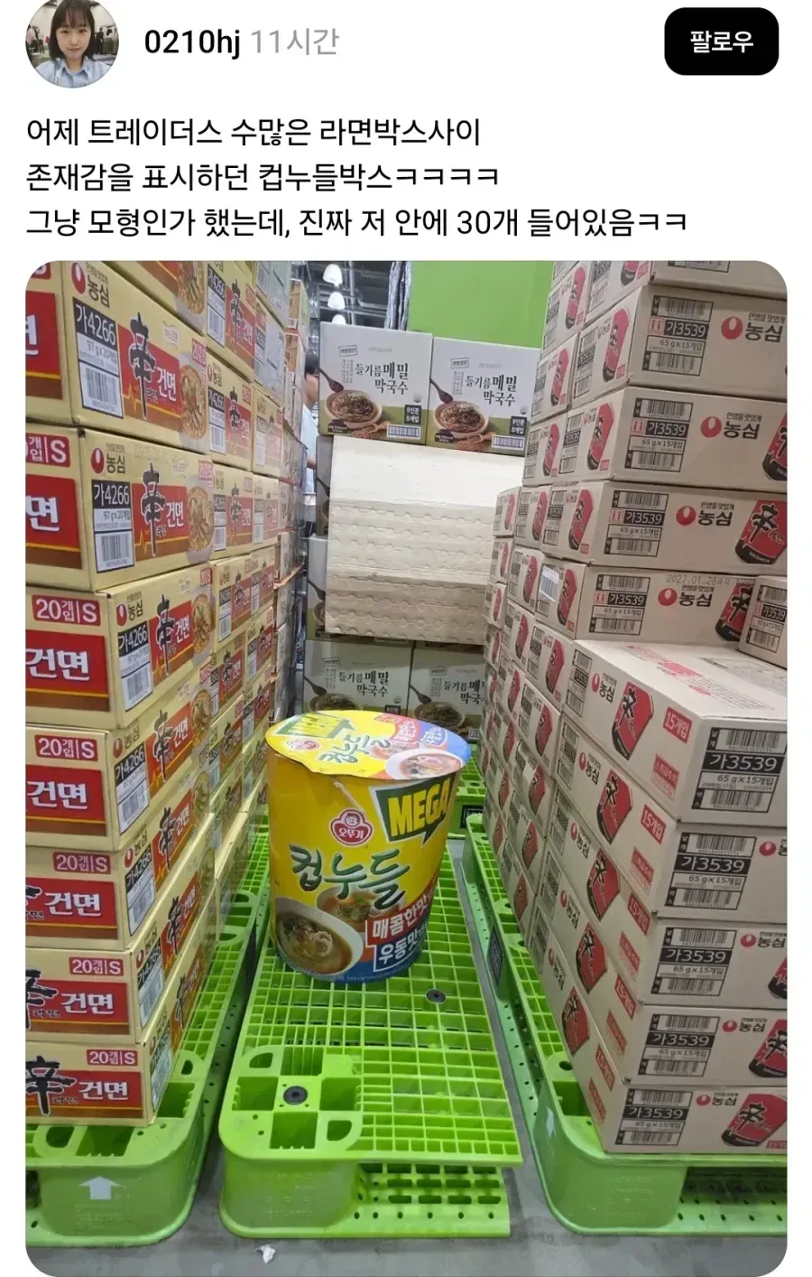 라면박스 사이에서 존재감 쩌는 컵라면.jpg