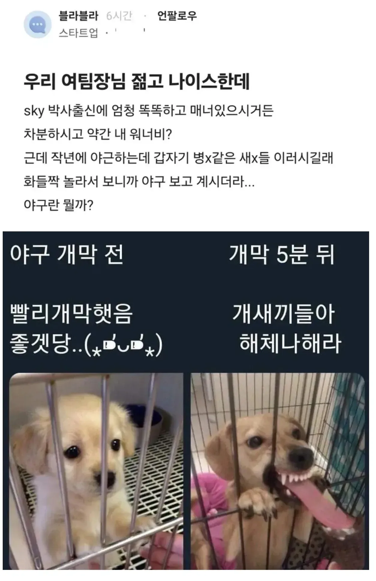 우리 여팀장님 젊고 나이스한데