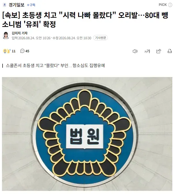 [속보] 초등생 치고 "시력 나빠 몰랐다" 오리발…80대 뺑소니범 '유죄' 확정