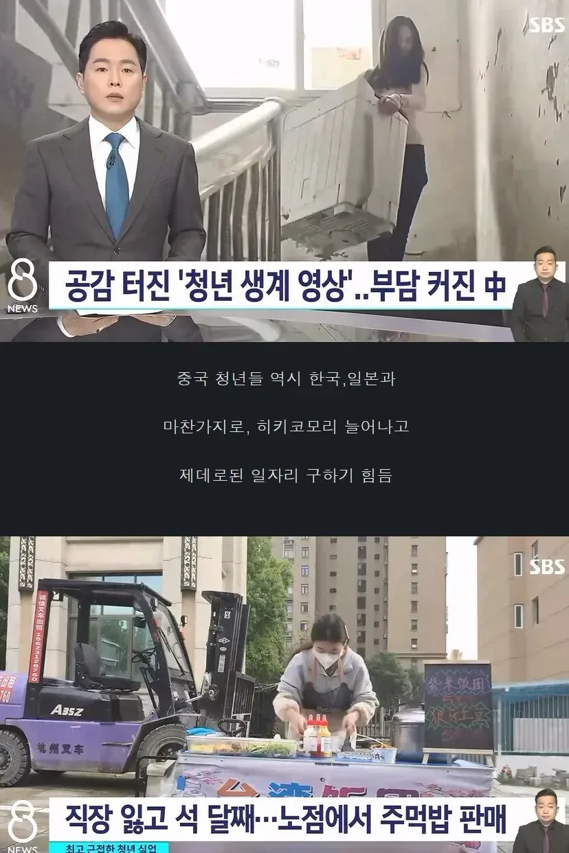 요즘 중국 청년들 근황