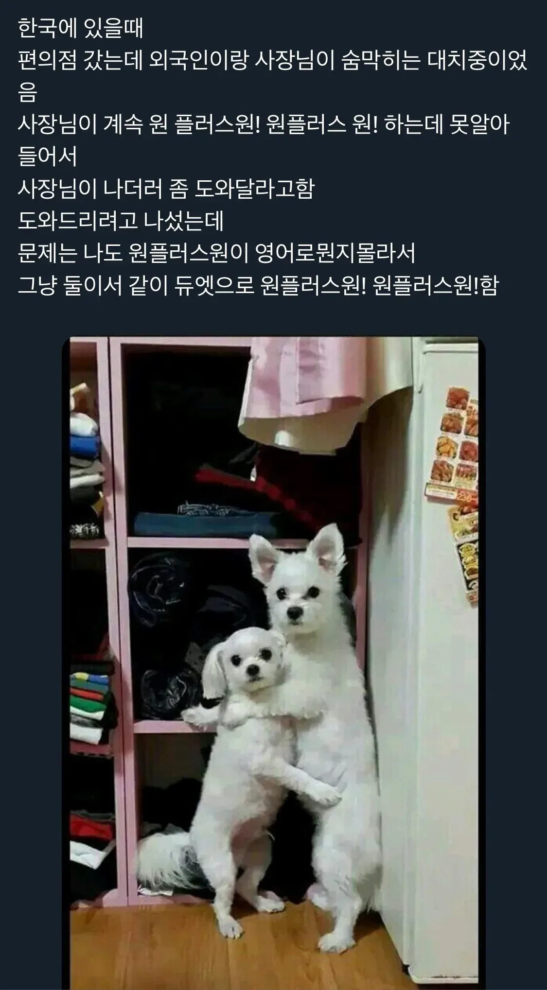 외국인과 사장님의 숨막히는 대치