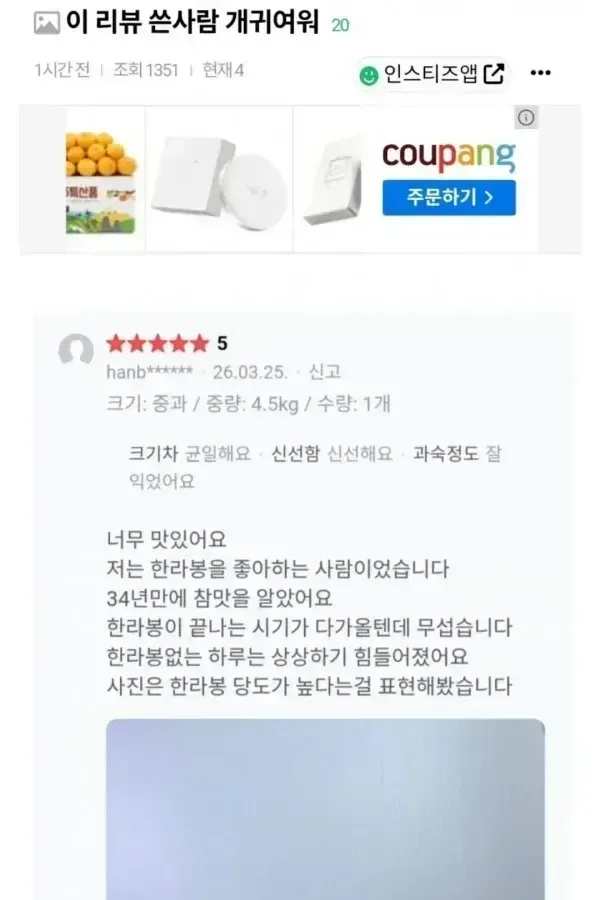 참맛을 알아버린 34살 누나.jpg