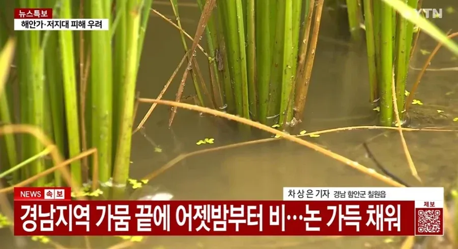 한반도 빗겨간 2개의 태풍의 영향.jpg